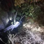 Salva la vida conductor de un automóvil que cayó a un barranco, en Santa Cruz Tlaxcala