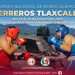 Gemini_Generated_Image_dkhzmqdkhzmqdkhz